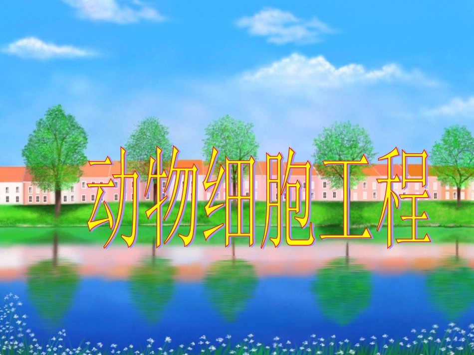 动物细胞工程常用的技术手段：_第1页