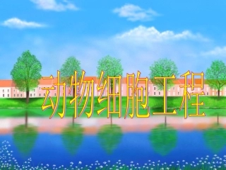 动物细胞工程常用的技术手段：