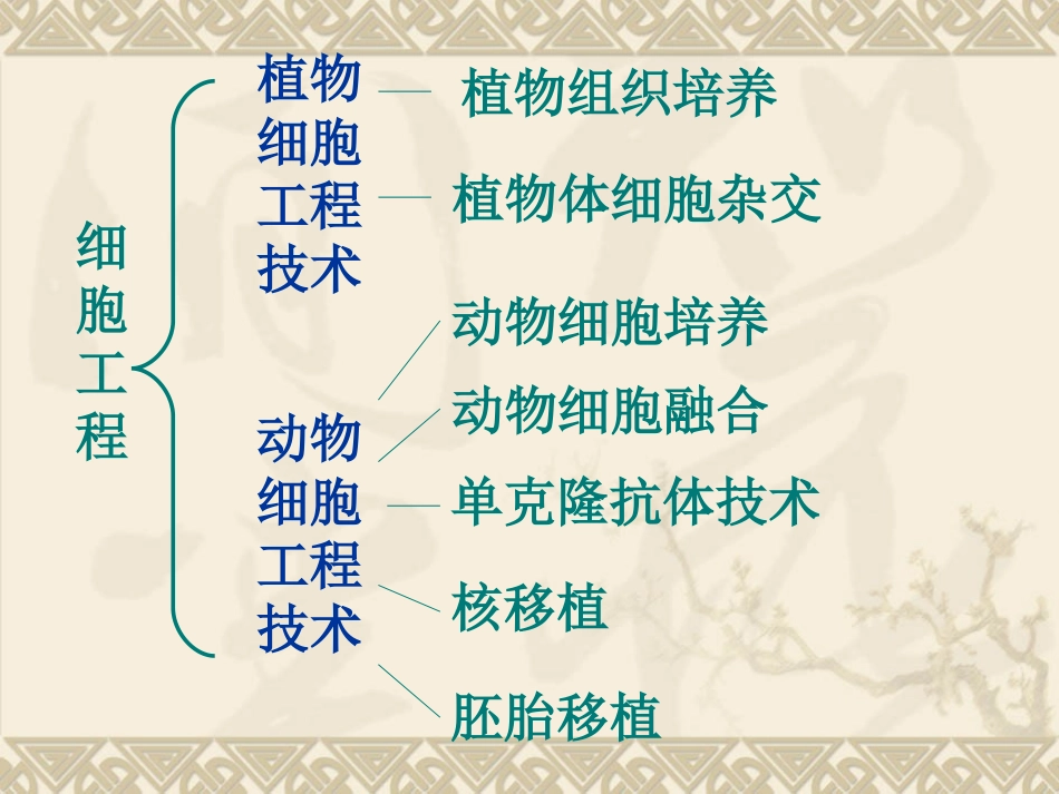 动物细胞培养综合_第2页