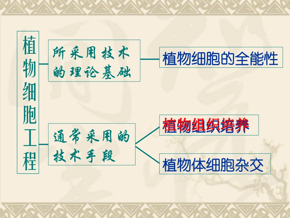 动物细胞培养综合_第3页