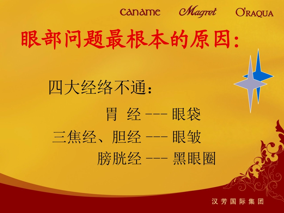 加美90°弹力眼雕术-(2)_第3页