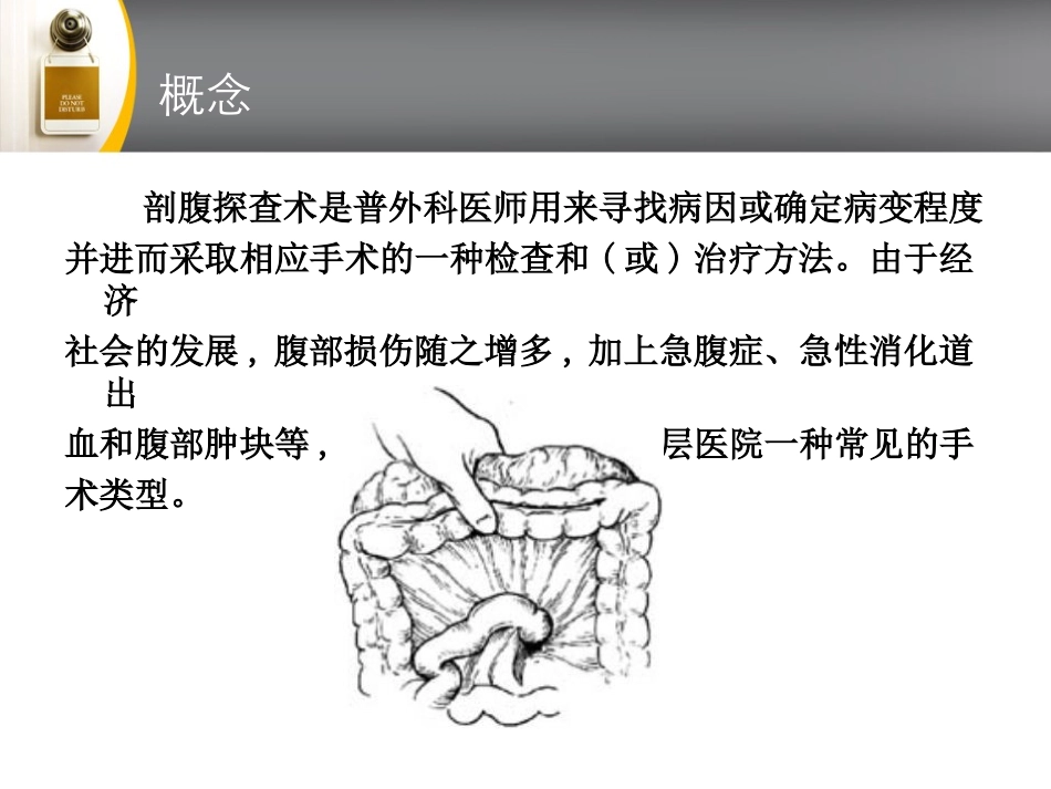 剖腹探查术70090133_第2页