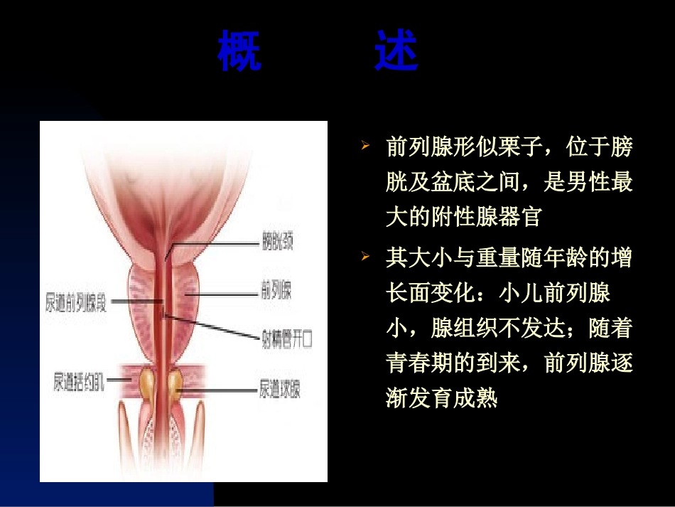 前列腺炎诊疗现状与进展_第3页