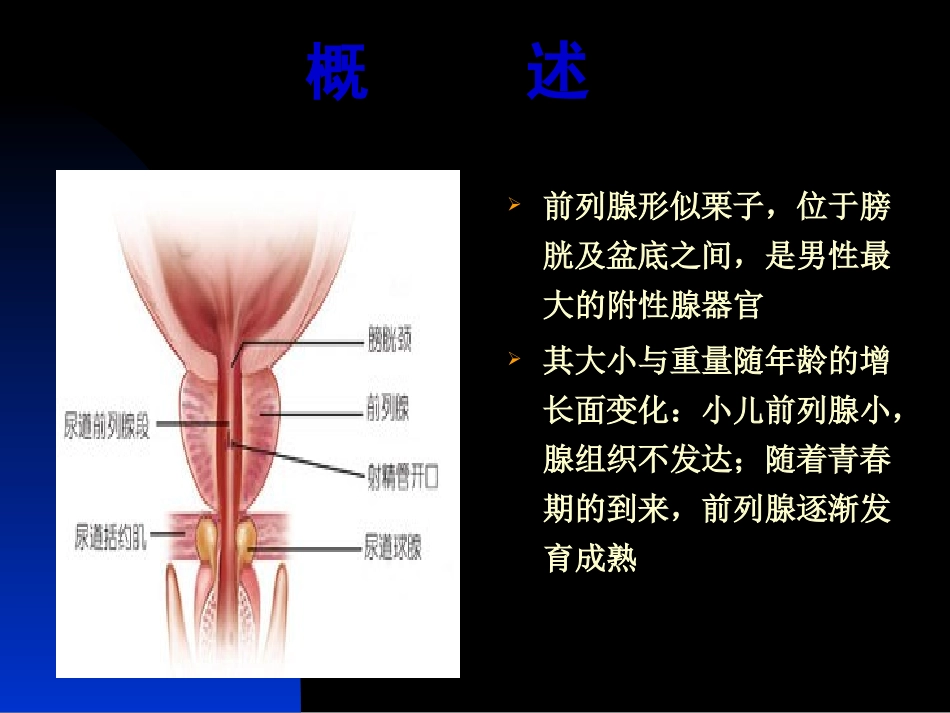 前列腺炎诊疗现状与进展_第3页