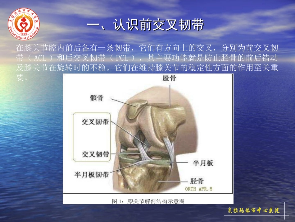 前交叉韧带重建术后康复_第2页