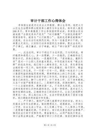 审计干部工作心得体会