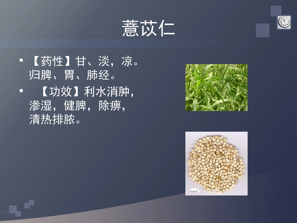 利水祛湿类药膳_第3页