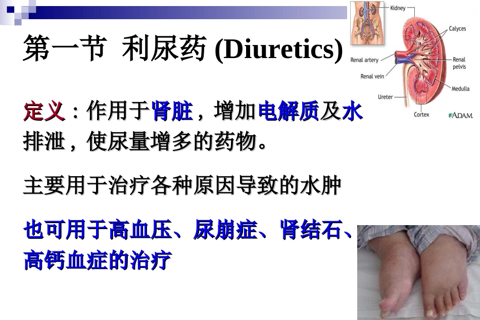 利尿药和脱水药ll_第2页