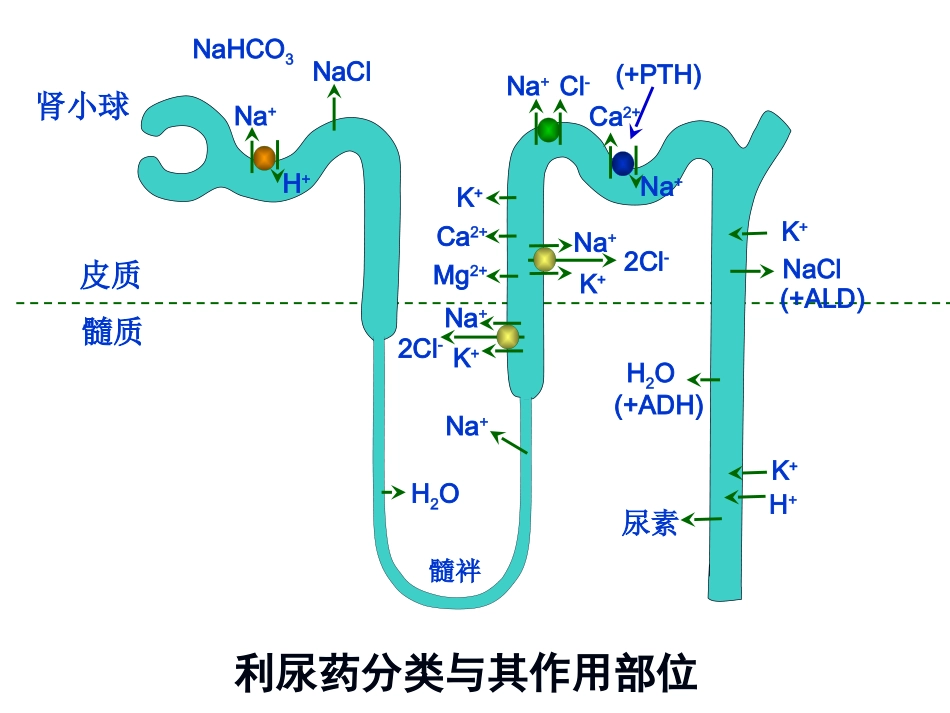 利尿药和脱水药2014_第2页