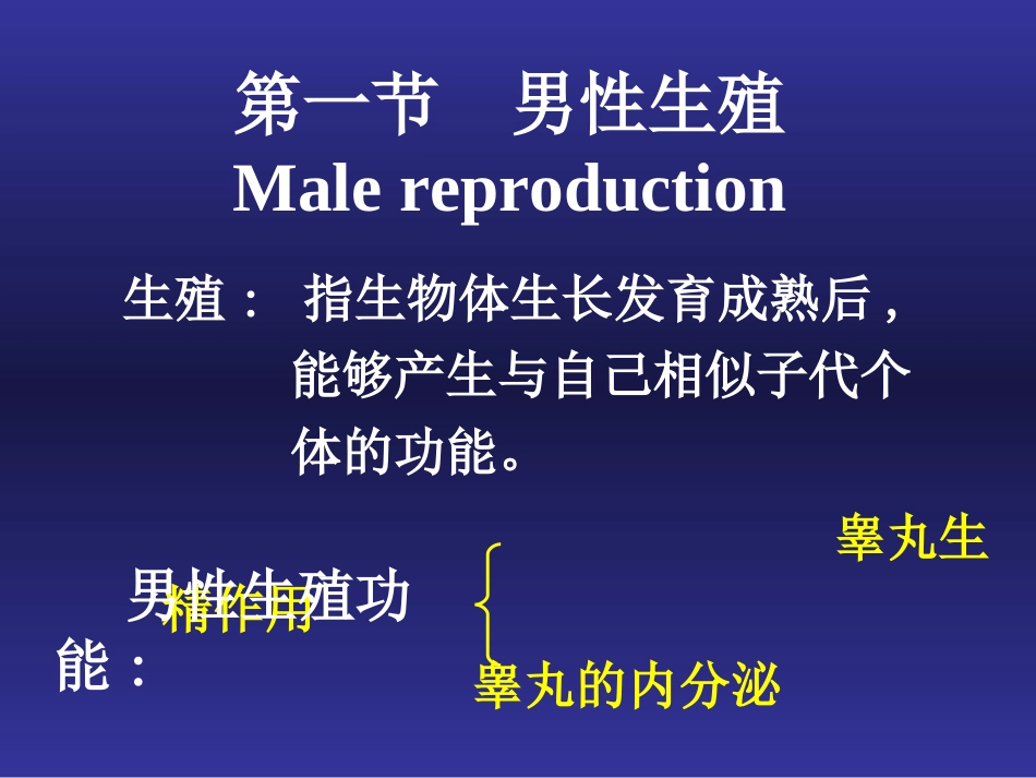 初级精母细胞减数分裂_第3页