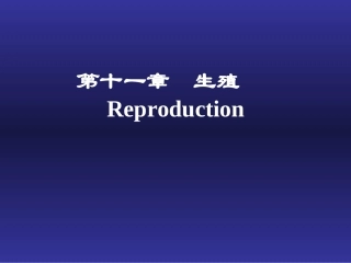 初级精母细胞减数分裂