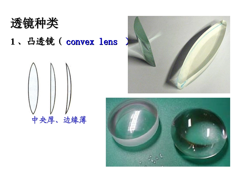 初二物理第5节  凸透镜与凹透镜_第2页
