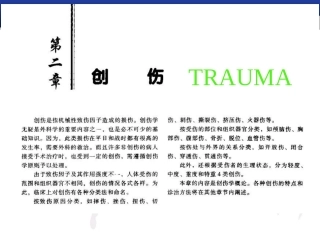 创伤11-06