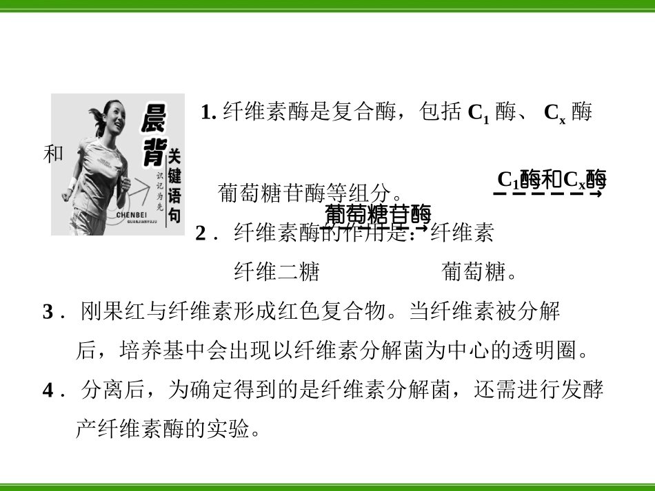 分解纤维素的微生物的分离_第3页