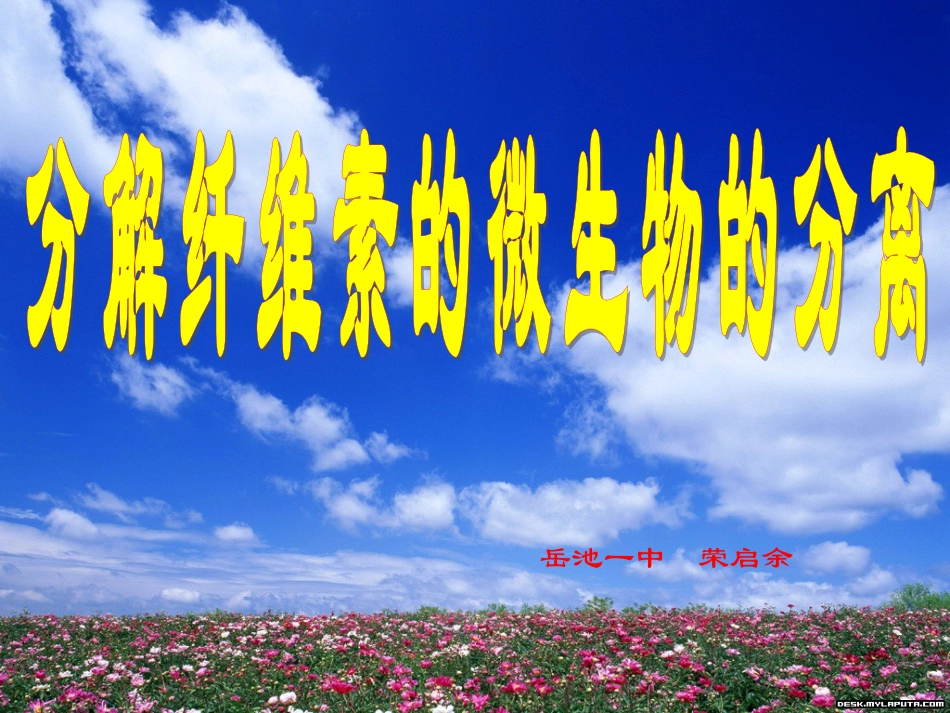 分解纤维素的微生物的分离(原创)_第1页