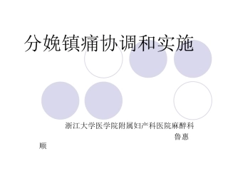 分娩镇痛协调和实施