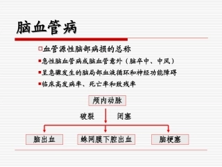 出血性脑血管病s1-PPT文档