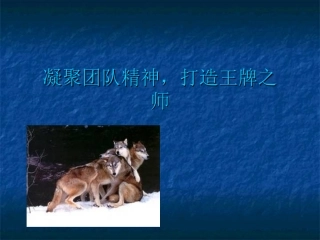 凝聚团队精神-打造王牌之师