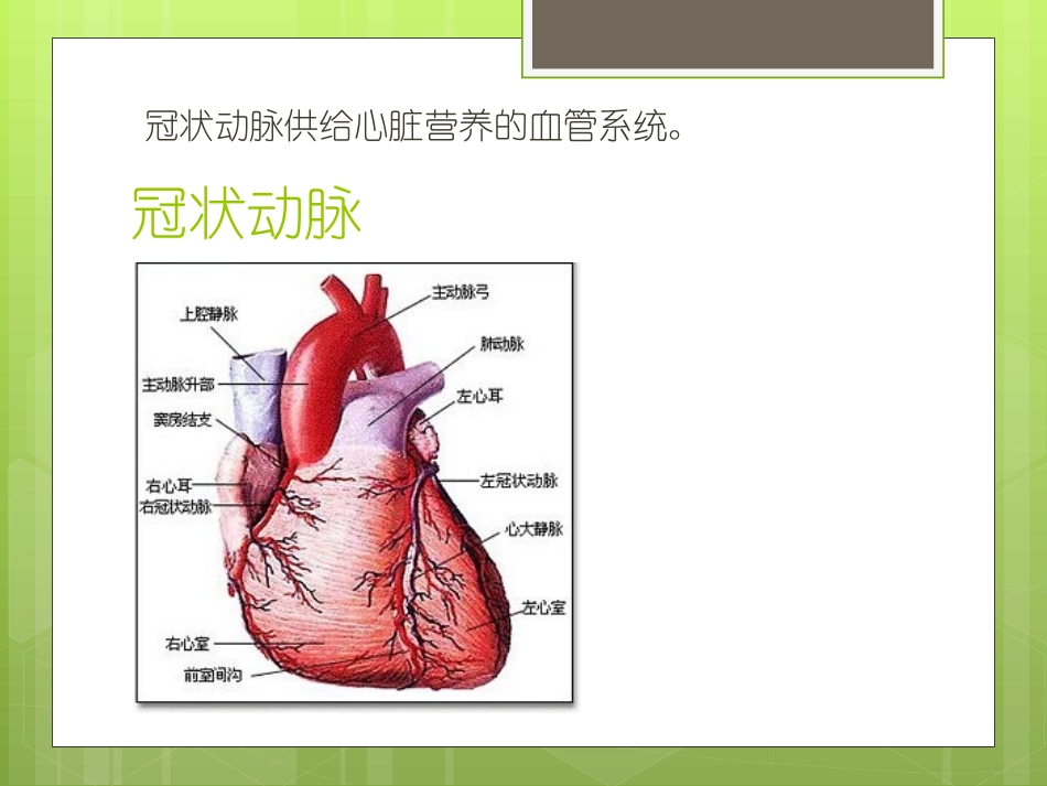 冠心病-PPT_第2页