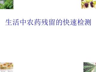 农药残留速测仪快速检测农药残留的应用研究
