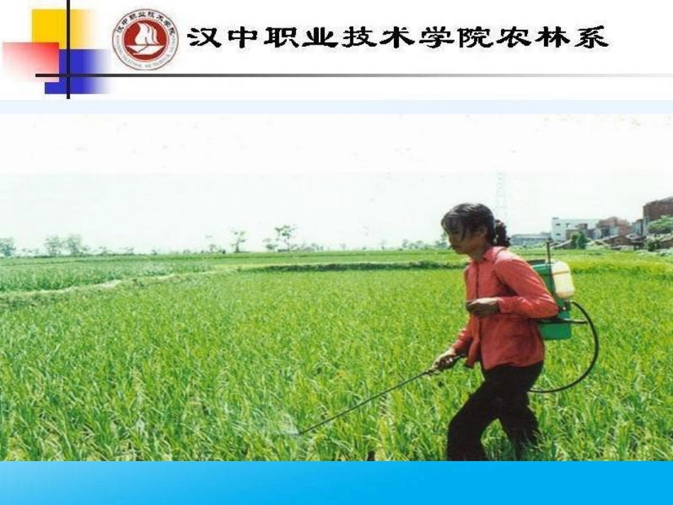 农药安全使用规定_第2页