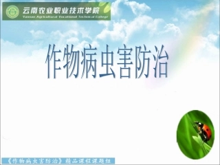 农药基础知识、分类