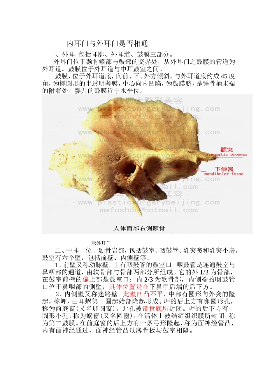 内耳门与外耳门_第1页