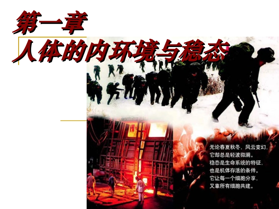 内环境稳态的意义_第1页