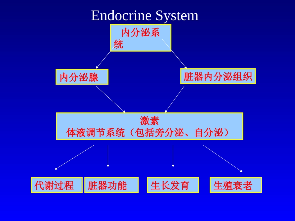 内分泌总论2008.5(口腔)_第2页