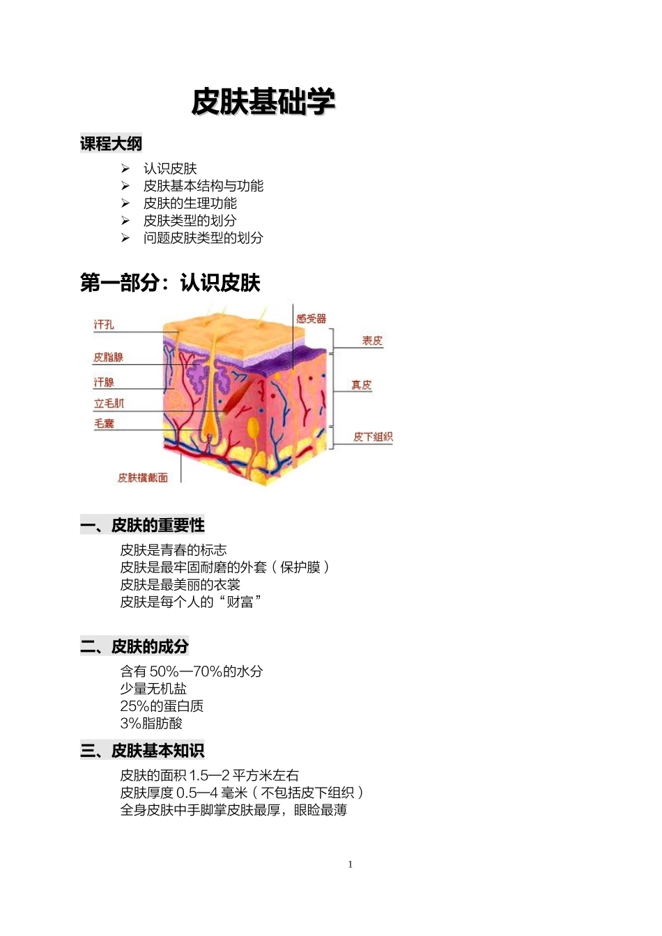 关于皮肤基础知识的详解_第1页