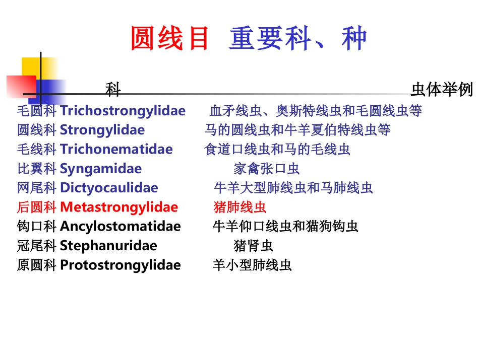 六-猪肺线虫病_第1页
