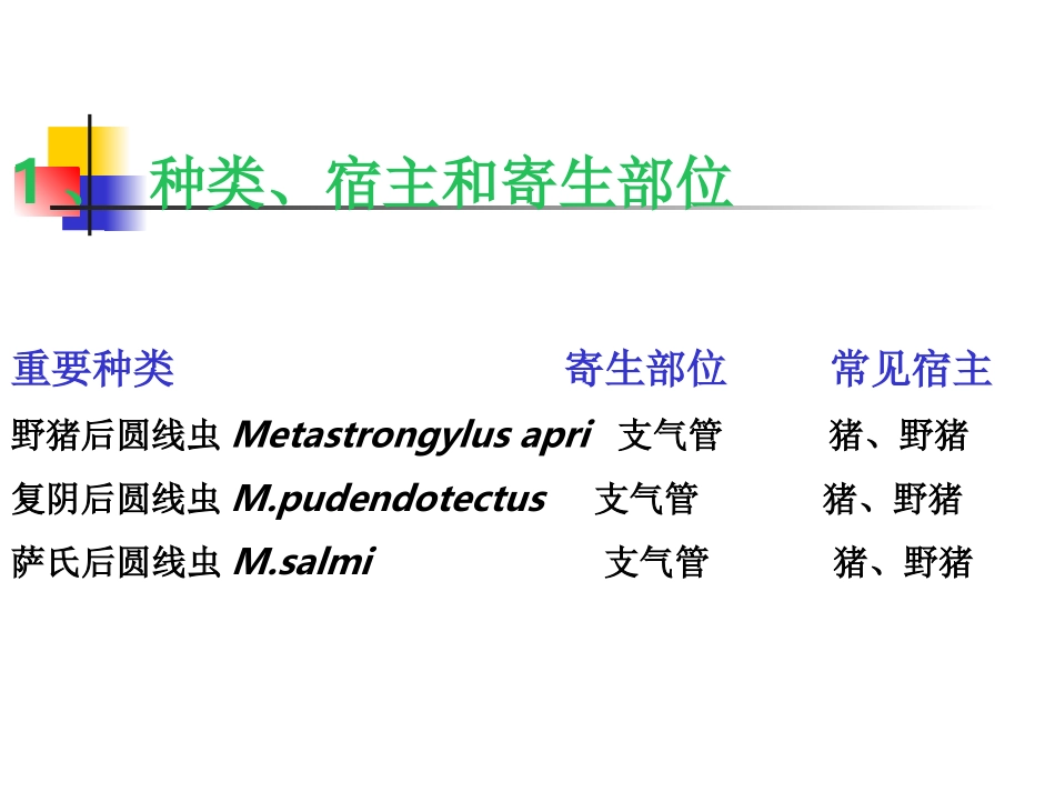 六-猪肺线虫病_第3页