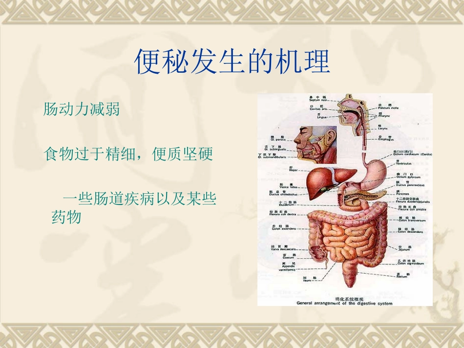 公共营养师课程(一)便秘9_第3页