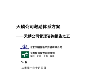 公司激励体系方案