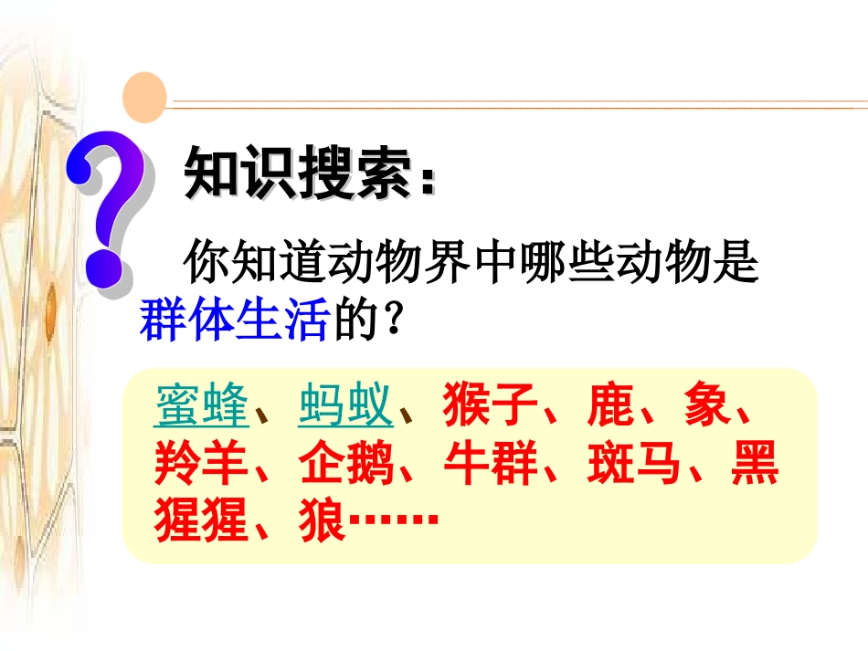 八年级生物上册生物第二章第三节社会行为课件人教版_第2页