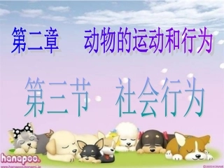 八年级生物上册生物第二章第三节社会行为课件人教版