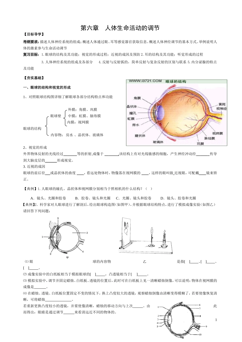 八下生物《第六章__人体生命活动的调节》教案李建华_第1页