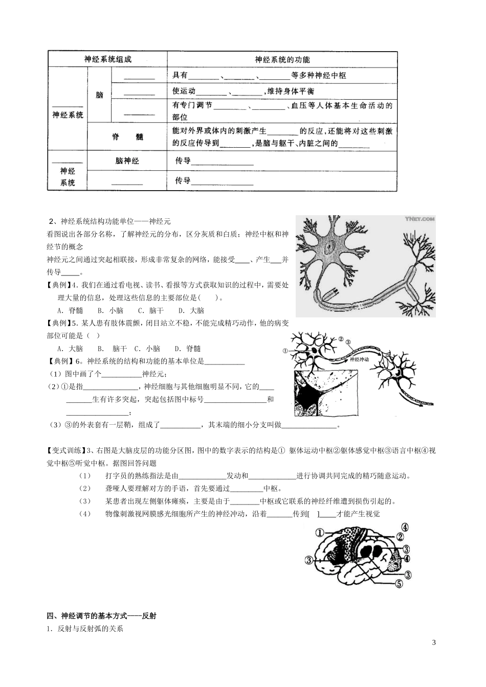八下生物《第六章__人体生命活动的调节》教案李建华_第3页