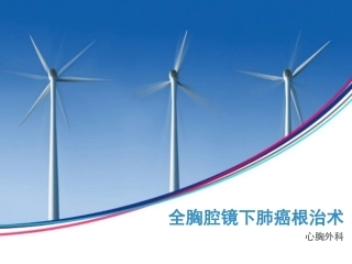 全胸腔镜肺癌根治术