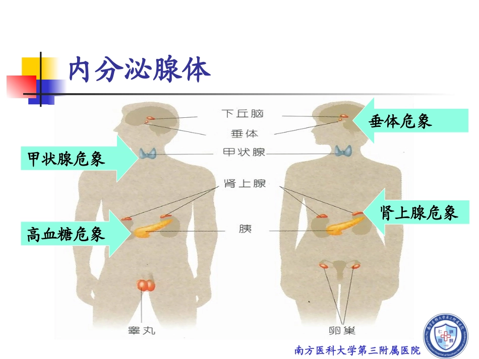 全科医生-内分泌急救_第2页