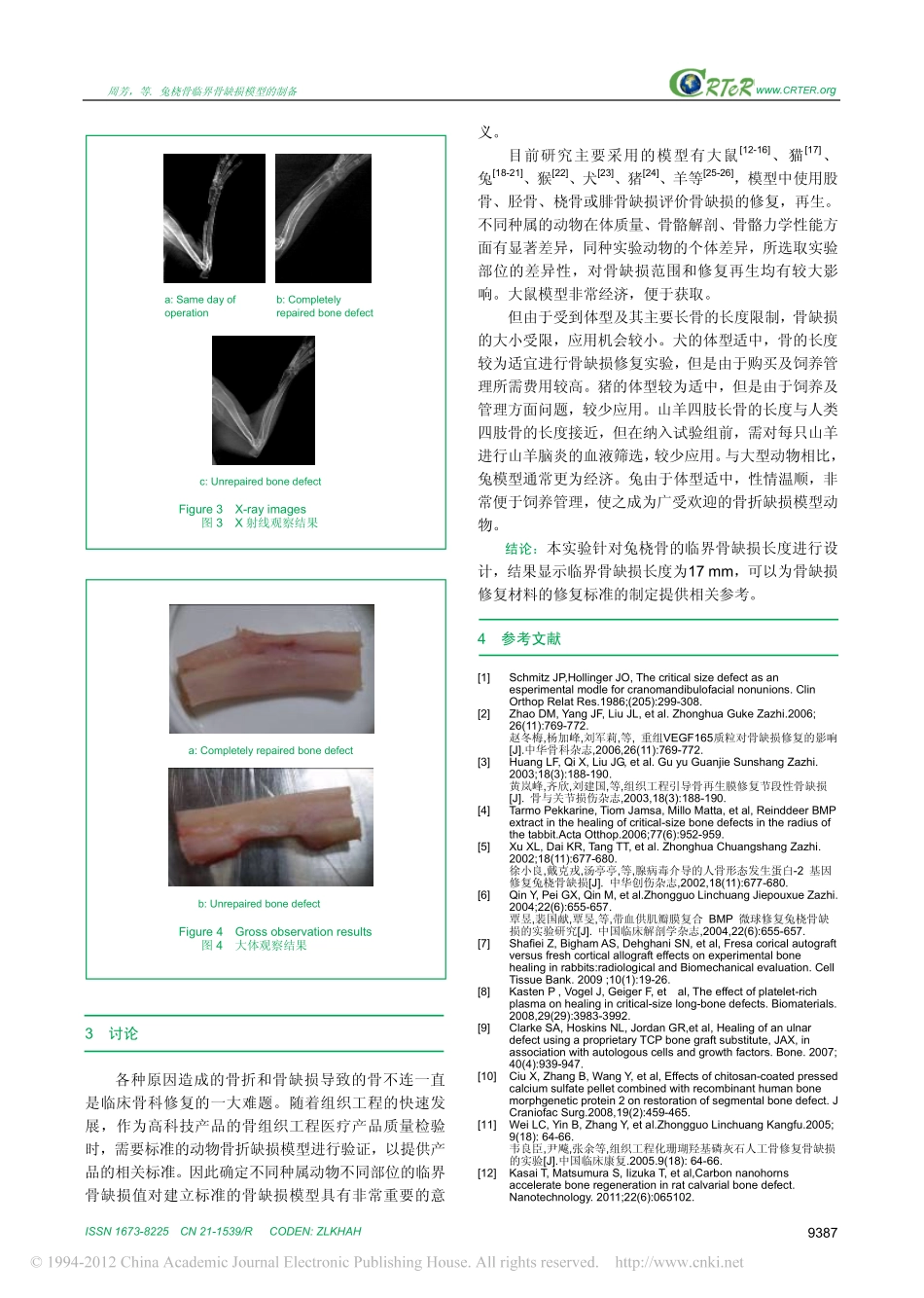 兔桡骨临界骨缺损模型的制备_周芳_第3页