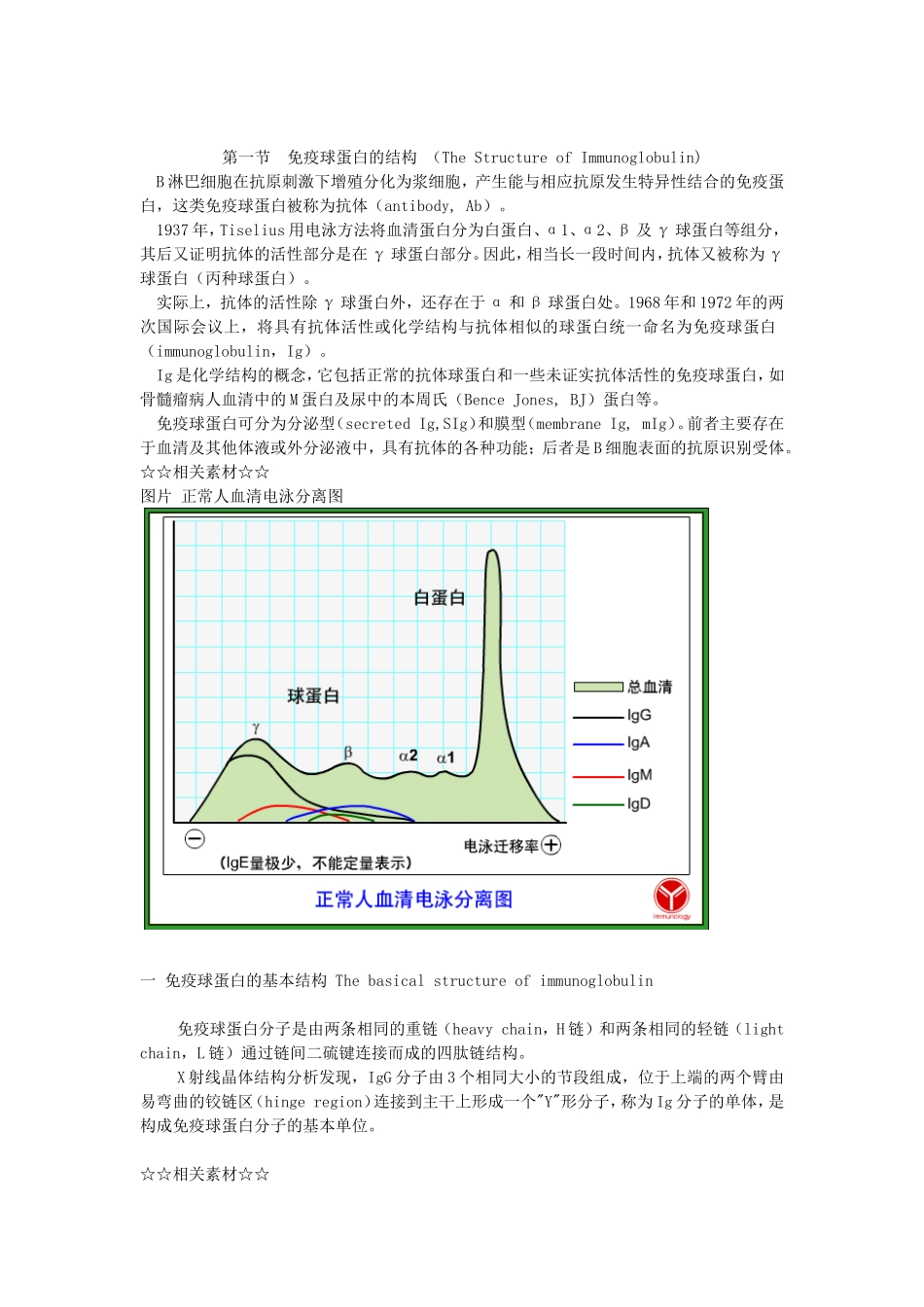免疫球蛋白的结构_第1页