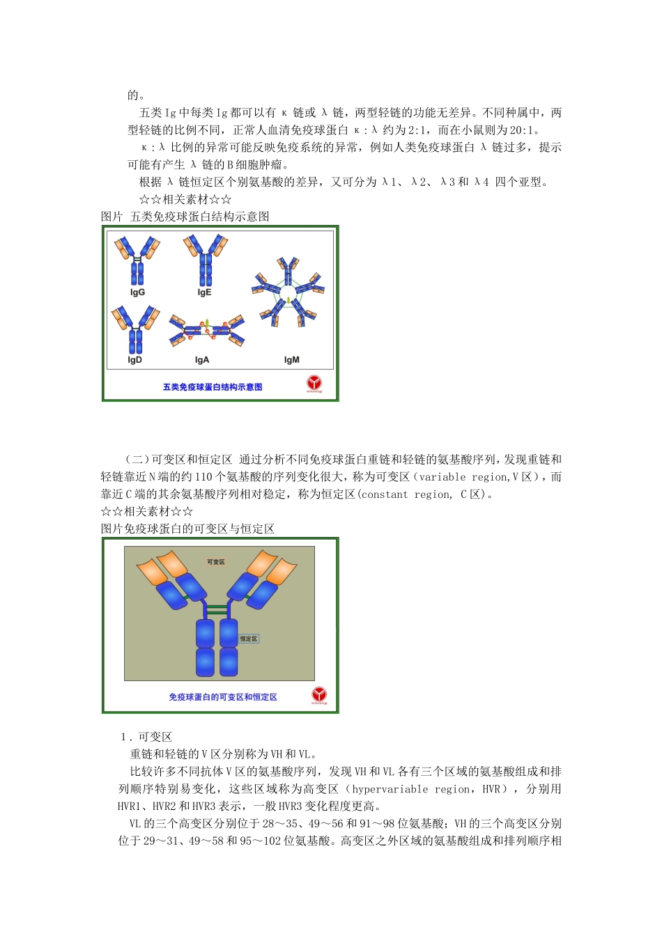 免疫球蛋白的结构_第3页