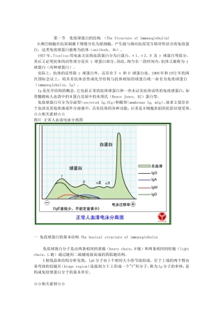 免疫球蛋白的结构