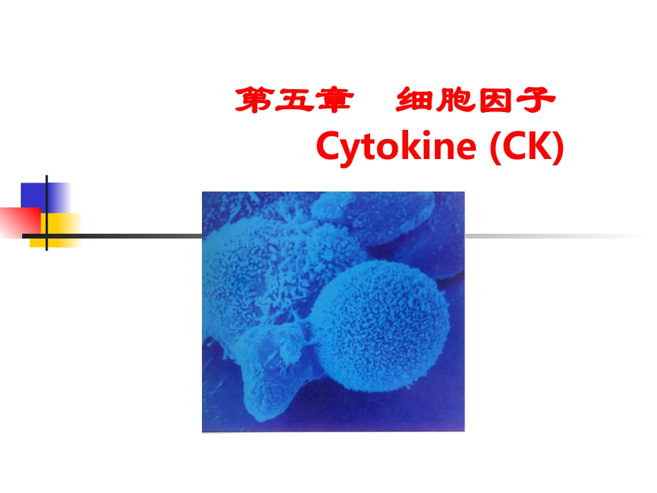 免疫学细胞因子PPT_第1页