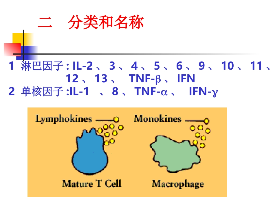 免疫学细胞因子PPT_第3页