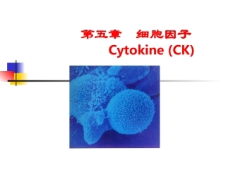 免疫学细胞因子PPT