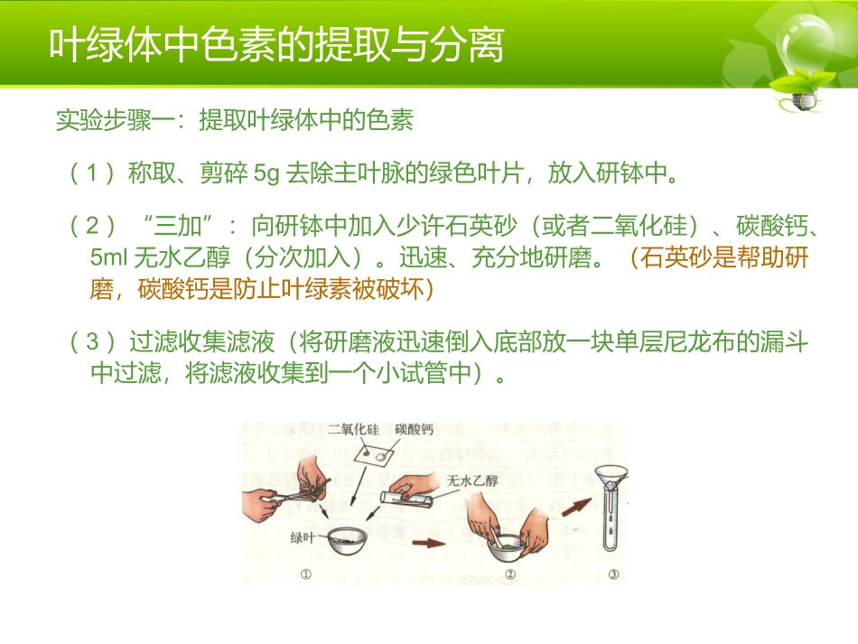 光合作用课本实验_第3页