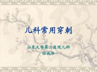 儿科腰穿骨穿--张兆华