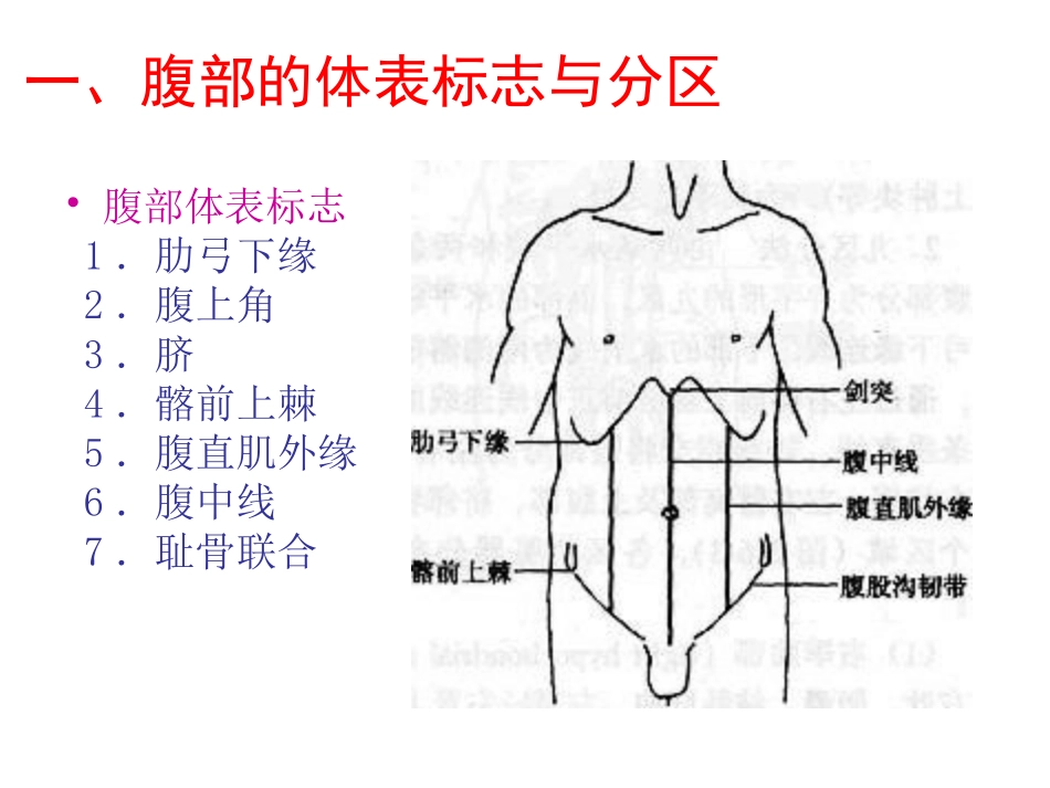 健康评估-腹部评估_第3页